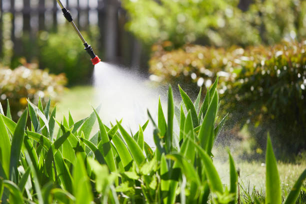 24/7 Emergency Mosquito Control experts in Blanchard, LA