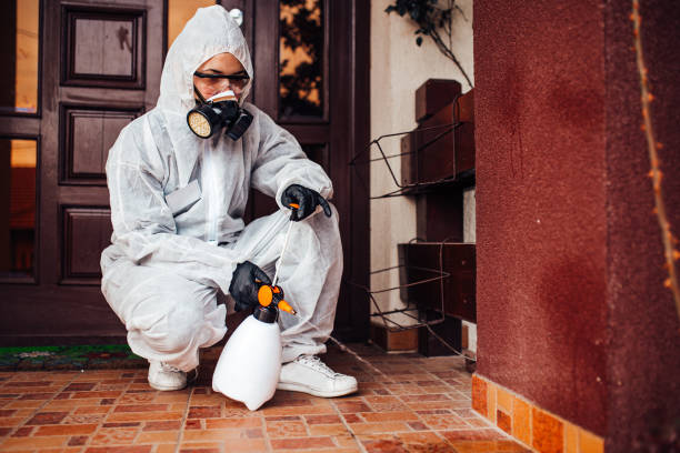 Reliable Mosquito Control contractor in Blanchard, LA by Show Me Pest Control